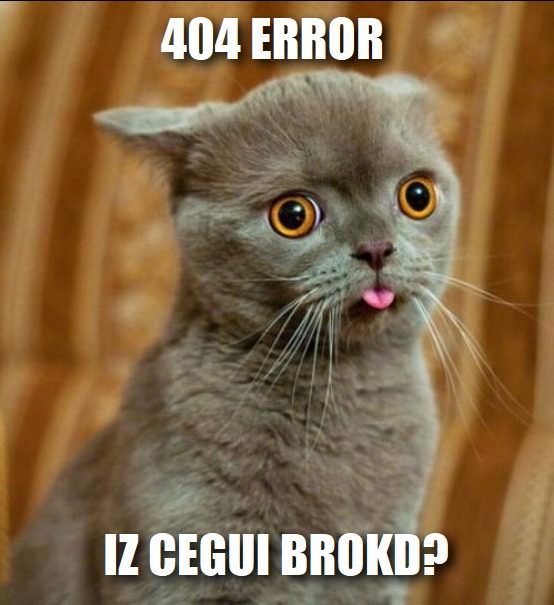 404 Error image (Lolcat)